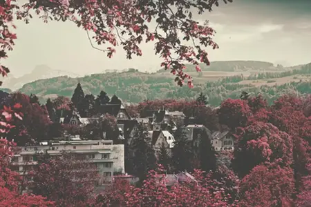 Чароўныя дарогі Швецыі праз аўтамагістраль вядуць