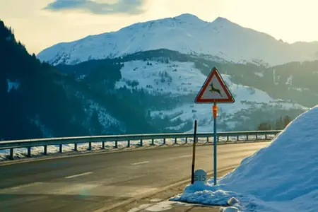 Rete autostradale svizzera e procedura per l'acquisto della vignetta nel 2026