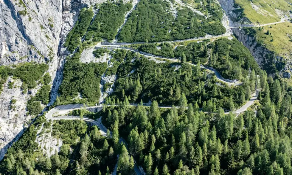 2024 Slovenya vi̇nyet: Bilmeniz Gereken Her Şey