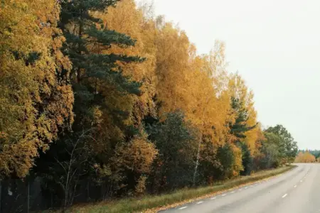 Kladno civarında D6 otoyolunun büyük yenileme çalışması gecikmeyle tamamlandı.
