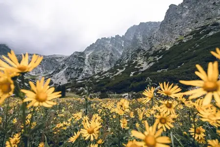Slovačka vinjeta: Put prema mogućnostima putovanja