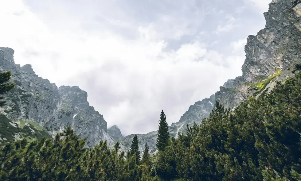Slovakya'nın otoyolları ve bunların ulaşılabilir seyahat noktaları