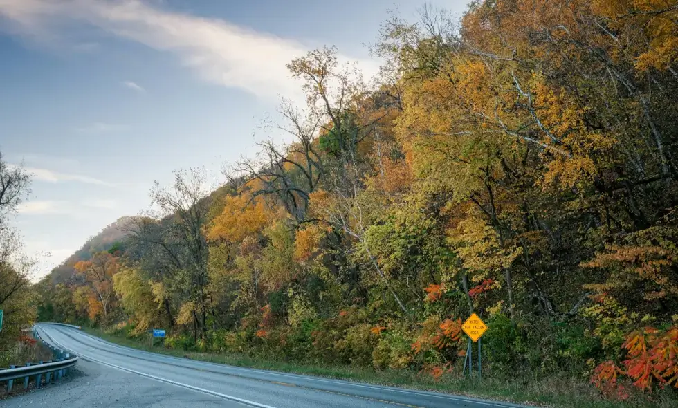 The 2025 e-vignette is officially available for purchase: new prices and more changes await drivers.